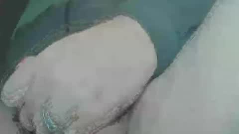 Snapshot of juergen_schoenfeld chatting on December 5, 10:12 pm Jrgen Schnfeld online show from December 5, 10:12 pm