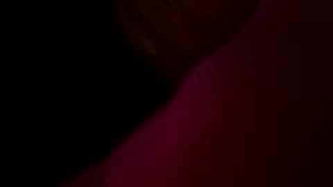 jugularjake online show from February 3, 9:47 am