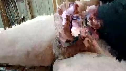 juicyweiner online show from January 7, 10:16 am