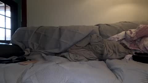 justanimals online show from December 7, 4:25 pm