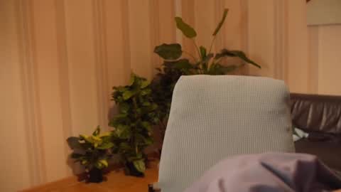 Kevin online show from January 23, 5:21 pm