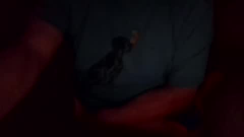 jesse444 cum show online show from September 20, 10:48 am