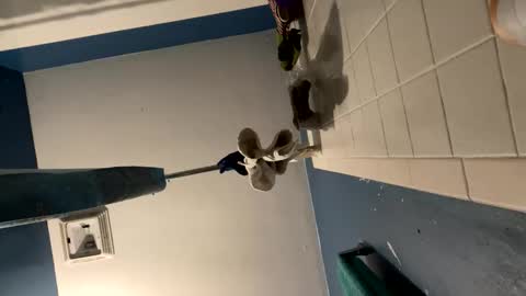 KingEcstasyXXX online show from November 27, 11:58 am