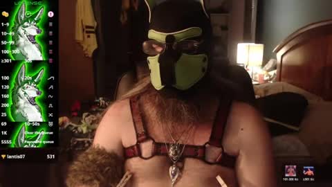 kinkywolf87 online show from July 7, 7:23 am