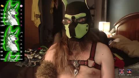kinkywolf87 online show from June 30, 11:28 pm