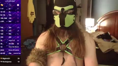 kinkywolf87 online show from September 17, 3:46 pm