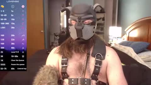 kinkywolf87 online show from January 16, 6:16 pm