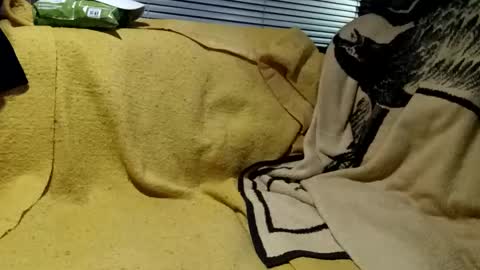 Snapshot of knock2wice1975 chatting on December 18, 9:58 am knock2wice1975 online show from December 18, 9:58 am