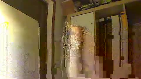 kokin3034 online show from November 14, 5:43 am