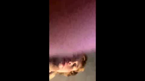 Snapshot of kylelovepussy69 chatting on February 27, 10:15 am kylelovepussy69 online show from February 27, 10:15 am