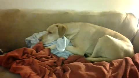 kylesingers online show from November 30, 4:03 am