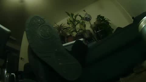 Snapshot of laidback_and_chill chatting on February 3, 3:20 am Rick online show from February 3, 3:20 am