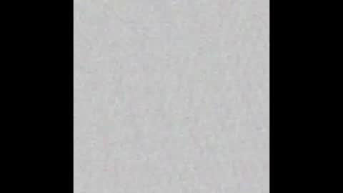 lambch0ps online show from January 16, 9:01 am