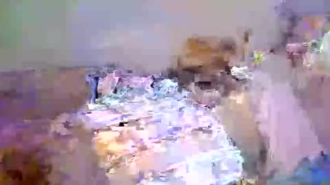 larry_125 online show from April 11, 6:55 pm