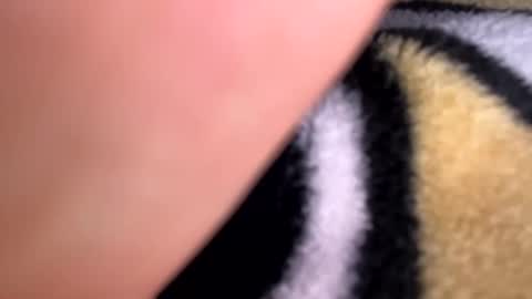 Mexakin online show from April 13, 11:05 pm