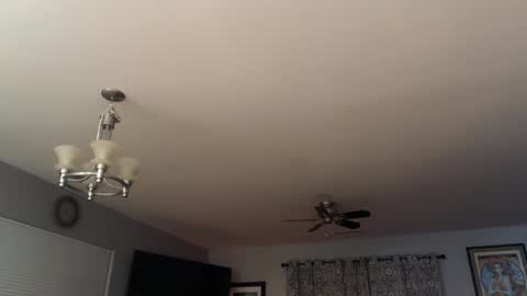 lausfavorite online show from October 14, 6:20 am