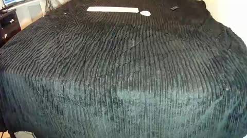 Snapshot of leatherman31 chatting on October 25, 1:18 am leatherman31 online show from October 25, 1:18 am