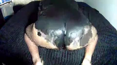 Snapshot of leatherman31 chatting on October 28, 4:42 pm leatherman31 online show from October 28, 4:42 pm