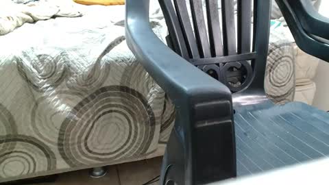 leonino231 online show from February 1, 10:52 pm