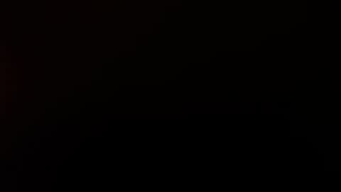 letsplay361 online show from November 20, 2:44 am