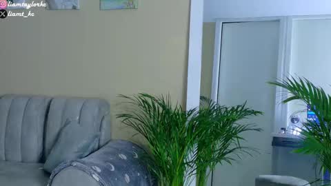 Tell me Liam online show from January 17, 12:02 am