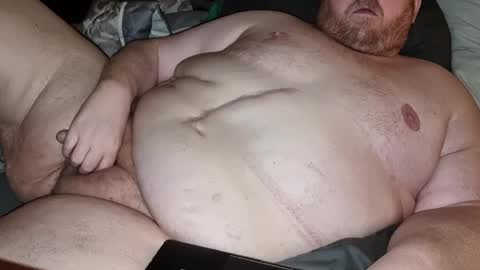 lidewoad online show from February 16, 2:31 am