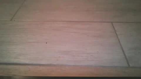 lildicksissy online show from November 22, 11:59 pm