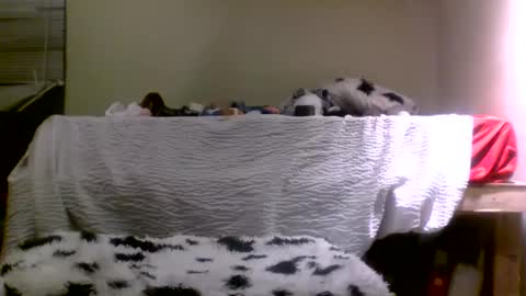 Richie Rich online show from December 31, 1:08 pm