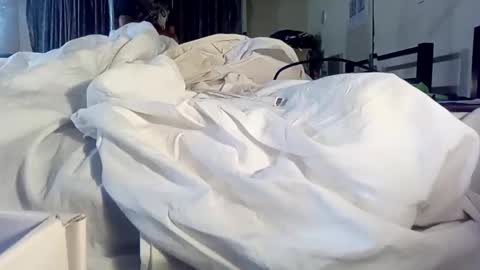 linkz316 online show from September 13, 8:15 am