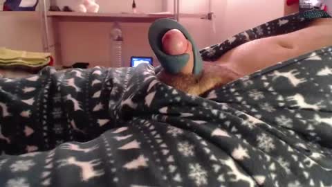 litlediky online show from December 21, 6:41 am