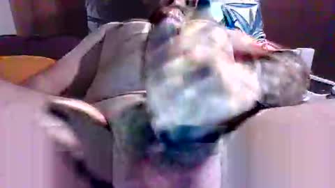 Snapshot of litwinpaweel chatting on February 23, 10:20 pm litwinpaweel online show from February 23, 10:20 pm