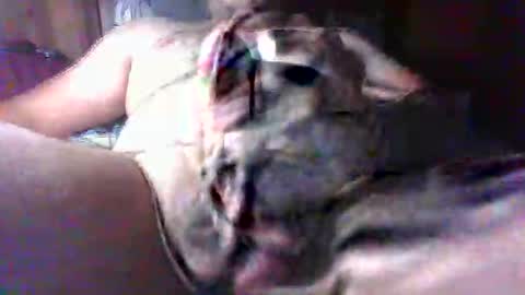 Snapshot of litwinpaweel chatting on October 15, 7:32 pm litwinpaweel online show from October 15, 7:32 pm