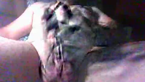 Snapshot of litwinpaweel chatting on October 27, 8:33 pm litwinpaweel online show from October 27, 8:33 pm