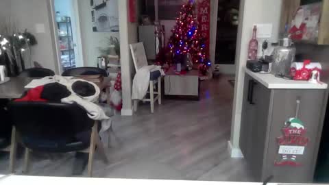 logan_rex_3 online show from January 7, 7:13 am