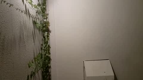 longdick3587 online show from February 17, 5:14 am