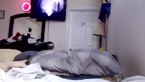 Snapshot of lookatmecum4you chatting on January 7, 6:50 am lookatmecum4you online show from January 7, 6:50 am