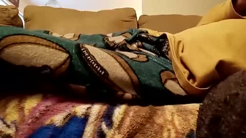 looking4bush online show from December 15, 8:04 pm