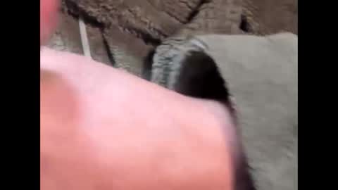 lustgardener67 online show from March 4, 7:19 am