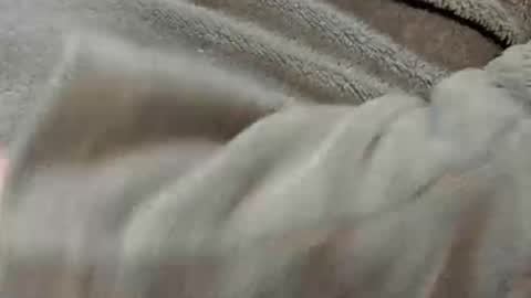 lustgardener67 online show from January 11, 8:07 am