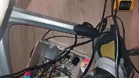 m7491201 online show from February 26, 12:03 pm