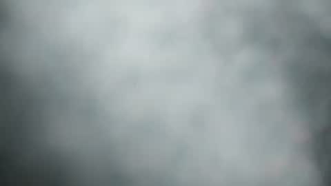 m7491201 online show from December 31, 2:14 pm