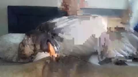 m 80 online show from April 27, 12:46 pm