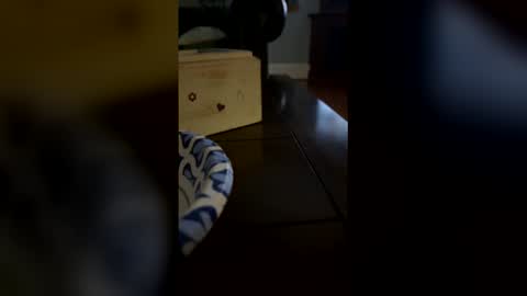 madelinemonroee online show from June 6, 3:01 am