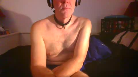 Snapshot of malebdsmslut chatting on February 6, 9:53 am CommandbondageNipples bondage kink submissive lovense slave wgear. modequiethvyBondage If Password goldfish online show from February 6, 9:53 am