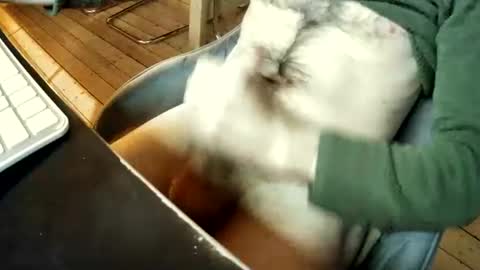 Snapshot of marcinshoes chatting on December 2, 3:45 pm Marcinshoes online show from December 2, 3:45 pm