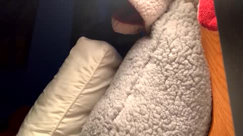 marcopepperoni online show from December 29, 7:17 am