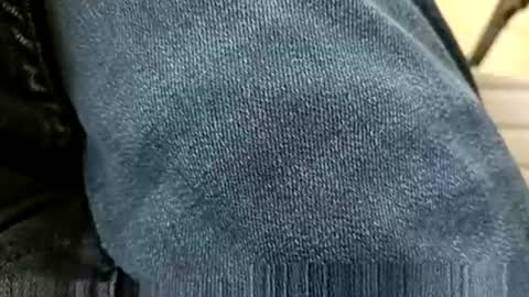 marocreda33 online show from December 29, 9:17 am