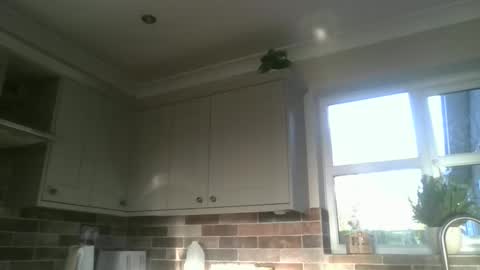 martinrgbxxxx online show from December 22, 9:55 am