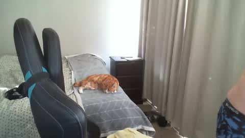 Snapshot of matchy666 chatting on December 4, 5:49 am Matchy online show from December 4, 5:49 am