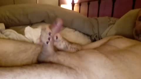 matrixdog69 online show from February 10, 2:59 pm